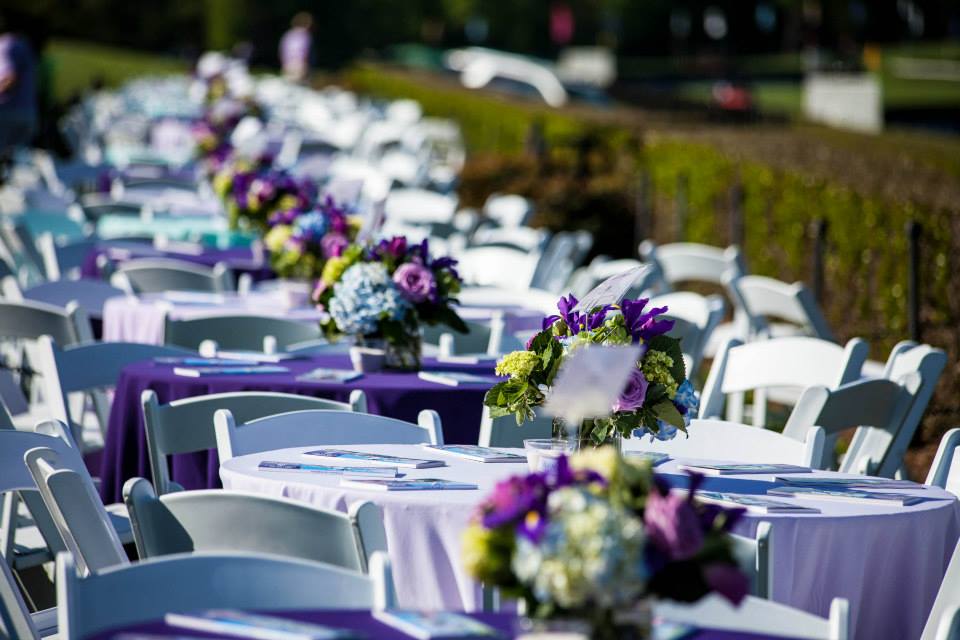 Lawn Boxes at Queen's Cup